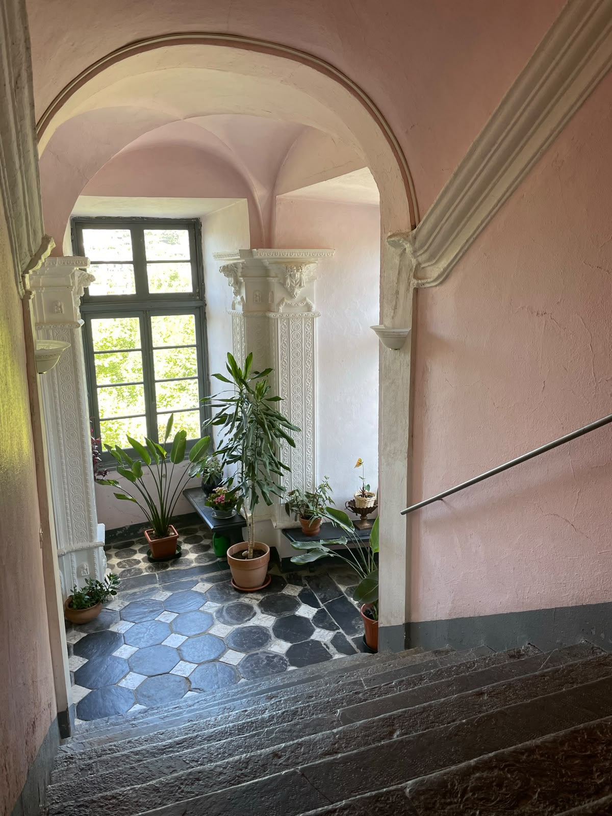 Pink vaulted stairwell with plants in Cabella